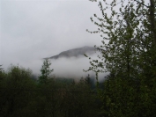 misty mountain