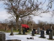Horse in graveyard